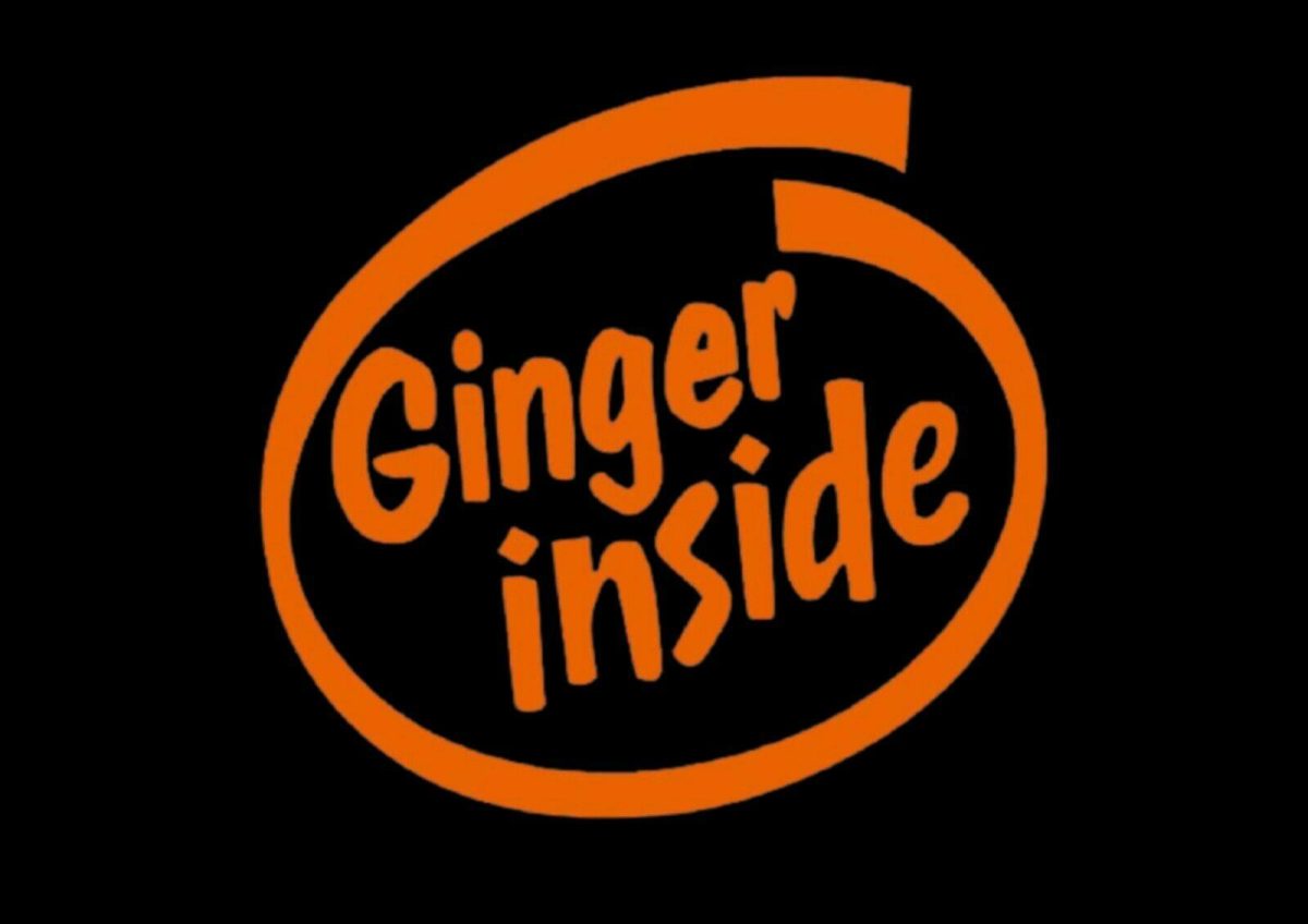 ging inside