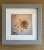 138A123E C321 40F5 983B D6828800942C scaled