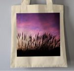 1E5EF947 B88E 451E A314 03A3D8822A41