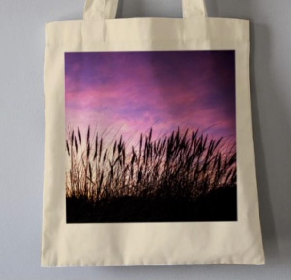 1E5EF947 B88E 451E A314 03A3D8822A41