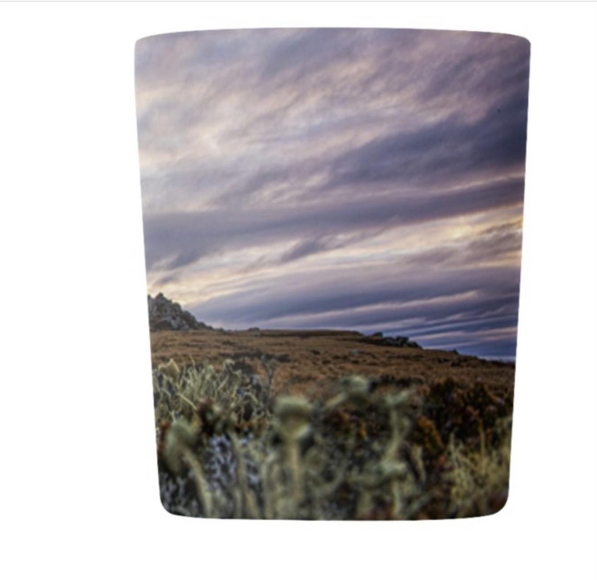 ACDD3F7D C36F 4D1D 8FE9 9527FC8E65AF