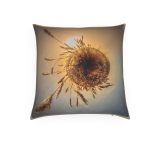 BB3D0911 F078 4F72 BE8B 5FB6CDF9F184