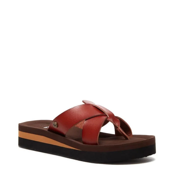 wilmer burn brown 001 5000x