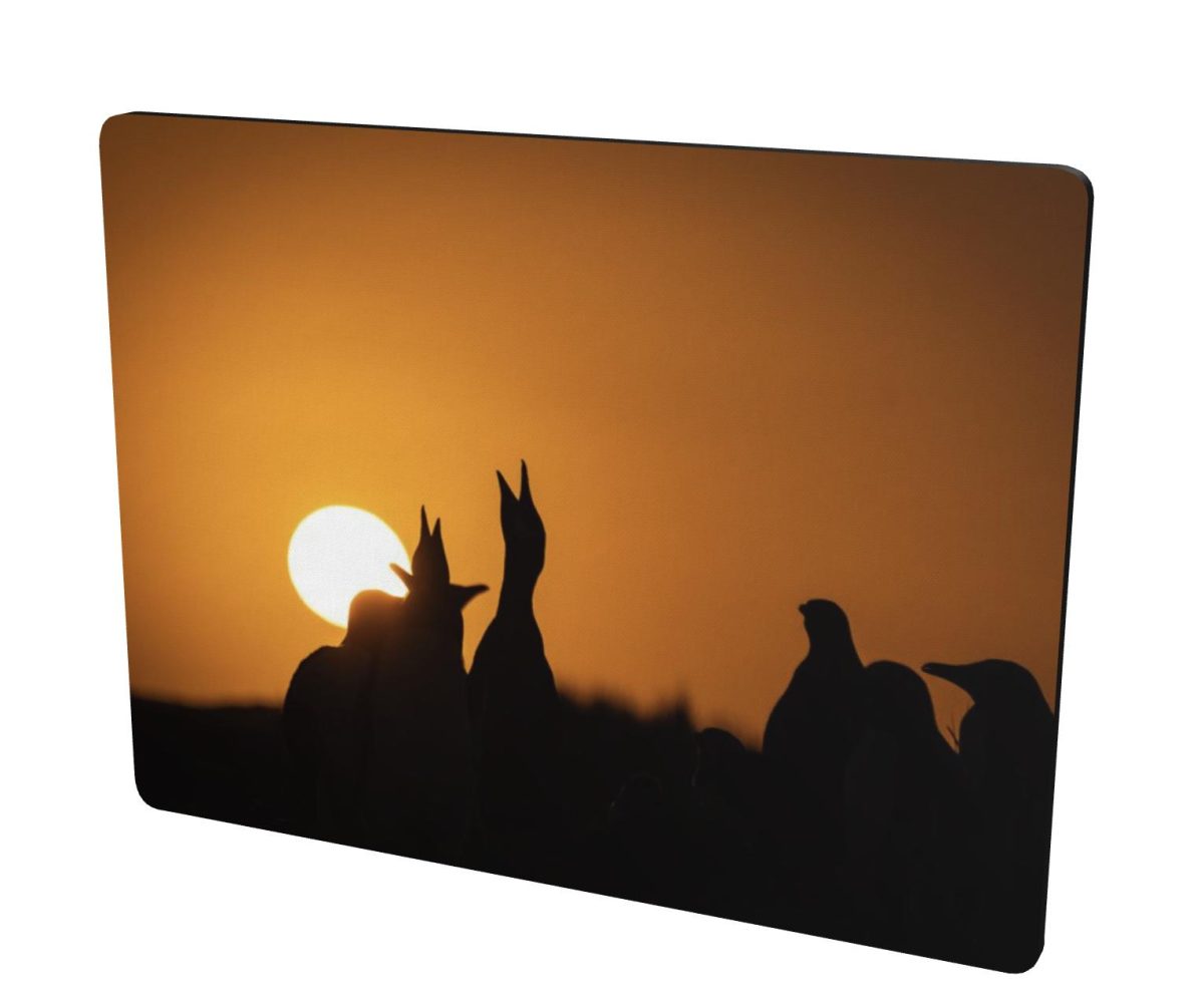 DE40F9E0 BF13 46CA AE67 A4CF44453504