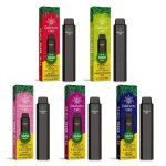 Darwin the big one all