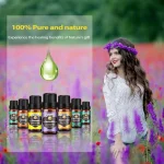 71W lr6x3lL. AC SL1000