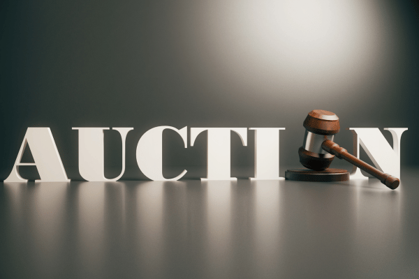 Mercado Auction