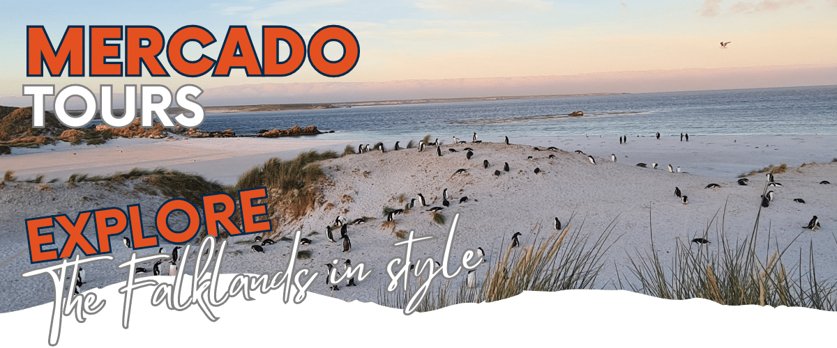 Mercado Falklands Tourism
