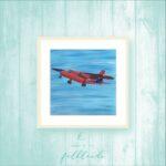 Falkland Islands Falklands Islander plane Britten Norman airplane aeroplane papercut painting print papercutting paperart 1